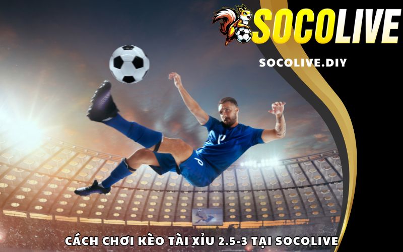 Cách chơi kèo Tài Xỉu 2.5-3 tại Socolive