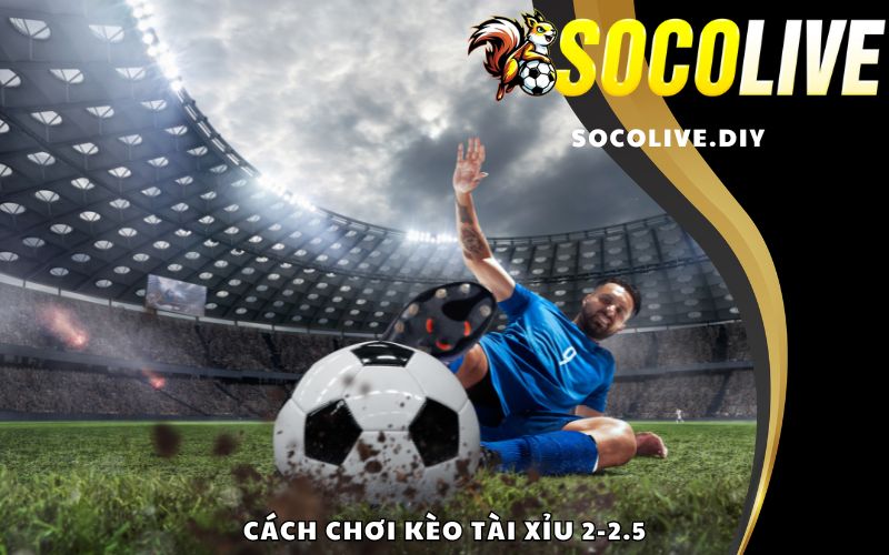 Cách chơi kèo tài xỉu 2-2.5