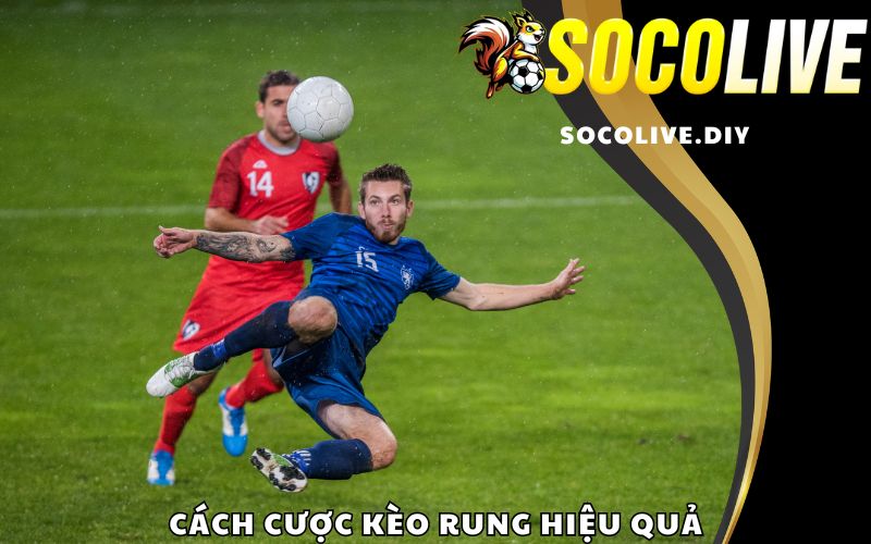 Cách cược kèo rung hiệu quả