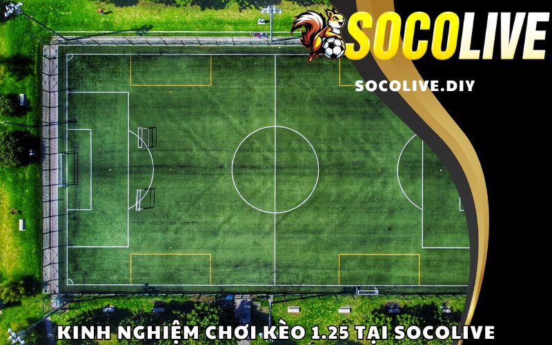 Kinh nghiệm chơi kèo 1.25 tại Socolive