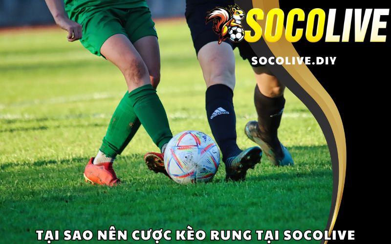 Tại sao nên cược kèo rung tại Socolive