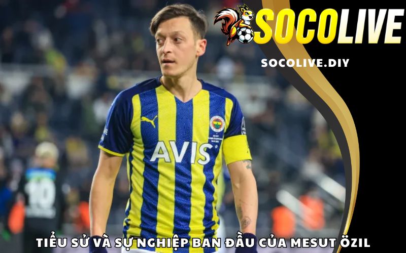 Tiểu sử và sự nghiệp ban đầu của Mesut Özil